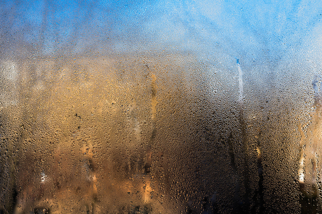 Mastering Home Moisture: The Hidden Dangers of Condensation and Damp