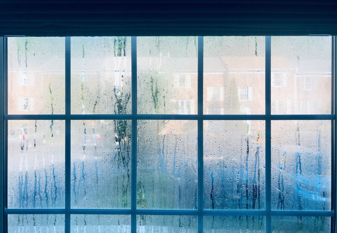 Seasonal Guide: How to Prevent Mould Growth in Winter