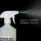 Scrub Out Mould Spray