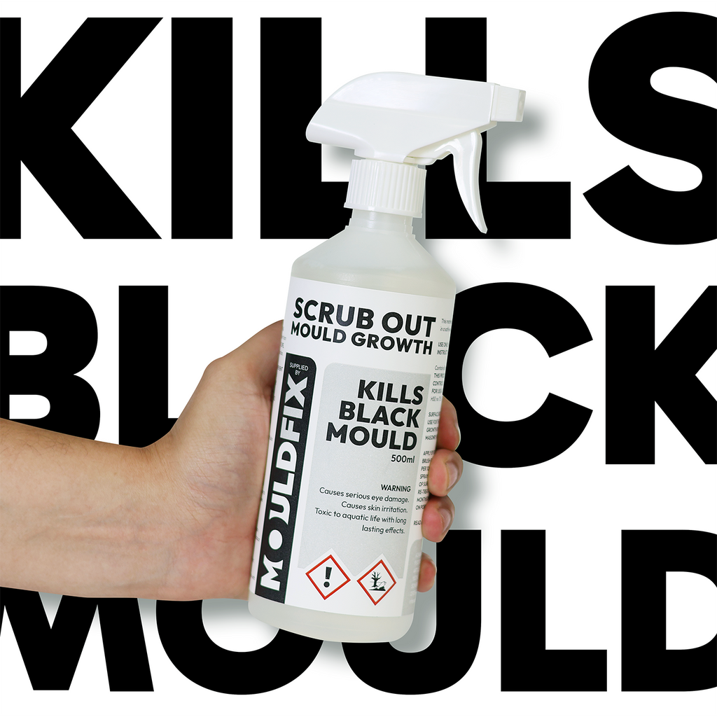 Scrub Out Mould Spray